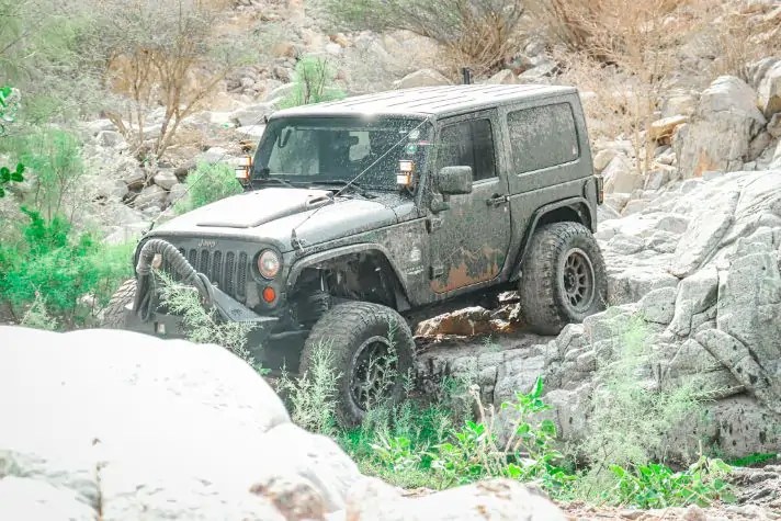  Willys Jeepers