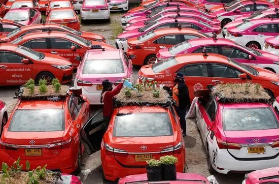 مزرعة سيارات التاكسي في تايلاند
