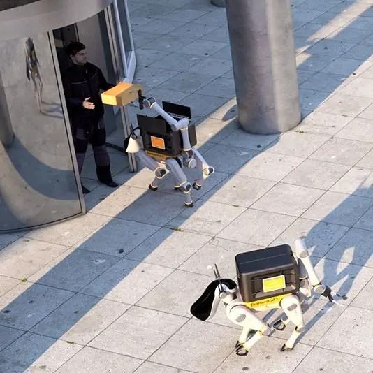  الروبوتات ستصبح من أشهر سكان المدن الذكية والأقدر على قيادة السيارات 