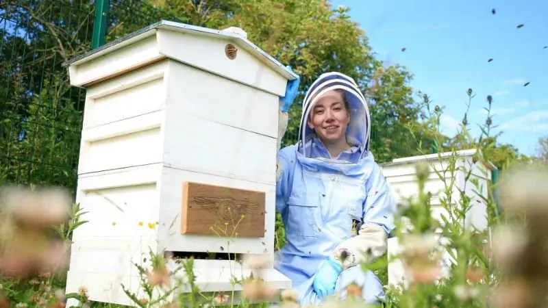 بنتلي تُدخل عشرات الآلاف من النحل إلى مصنعها بالمملكة المتحدة