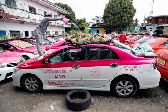 ما قصة مزرعة سيارات التاكسي في تايلاند ؟
