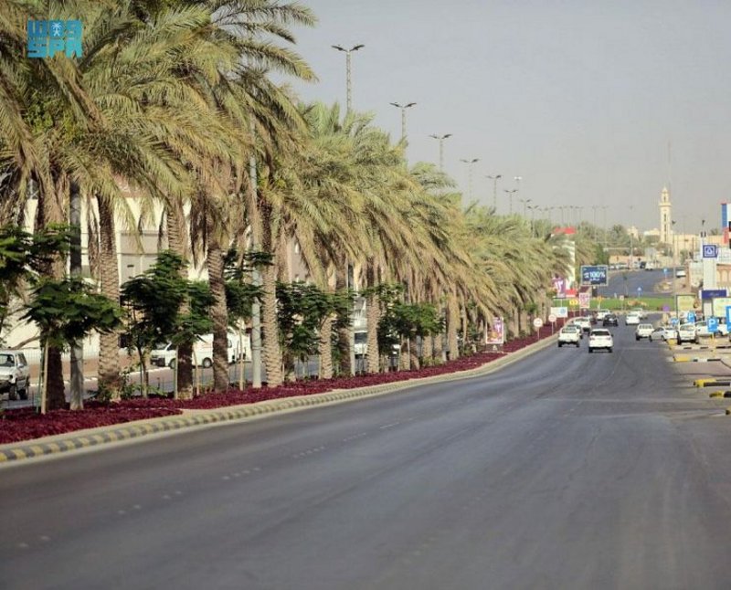بلدية محافظة عنيزة تجمل طرق وميادين المحافظة بأكثر من 600 ألف زهرة