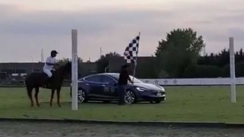 شاهد تيسلا موديل S تنافس حصان في سباق التسارع الأكثر غرابة