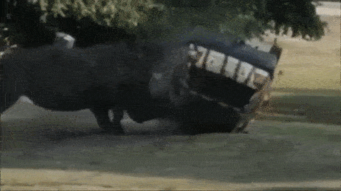 شاهد وحيد قرن غاضب يدمر سيارة حارسة الحديقة بسهولة كبيرة