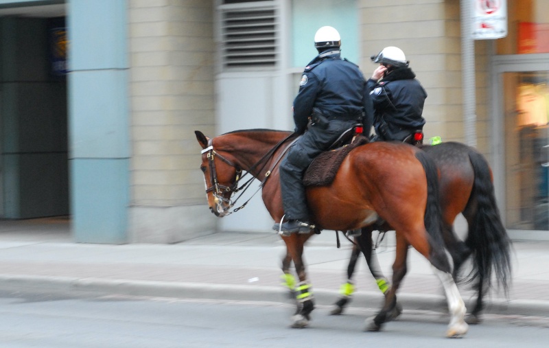 مطاردة الشرطة بقوة 1 حصان