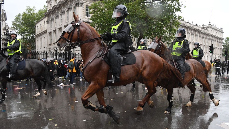 مطاردة الشرطة بقوة 1 حصان